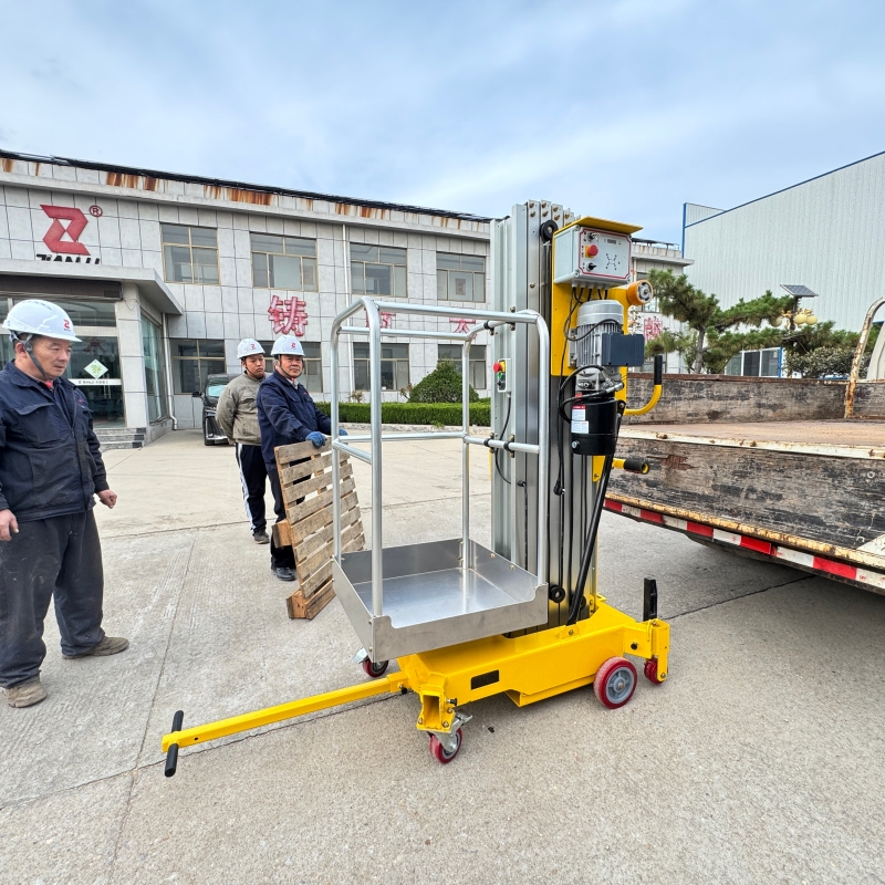 Vertical Mast Lift (100) Vertical Mast Lift (100)